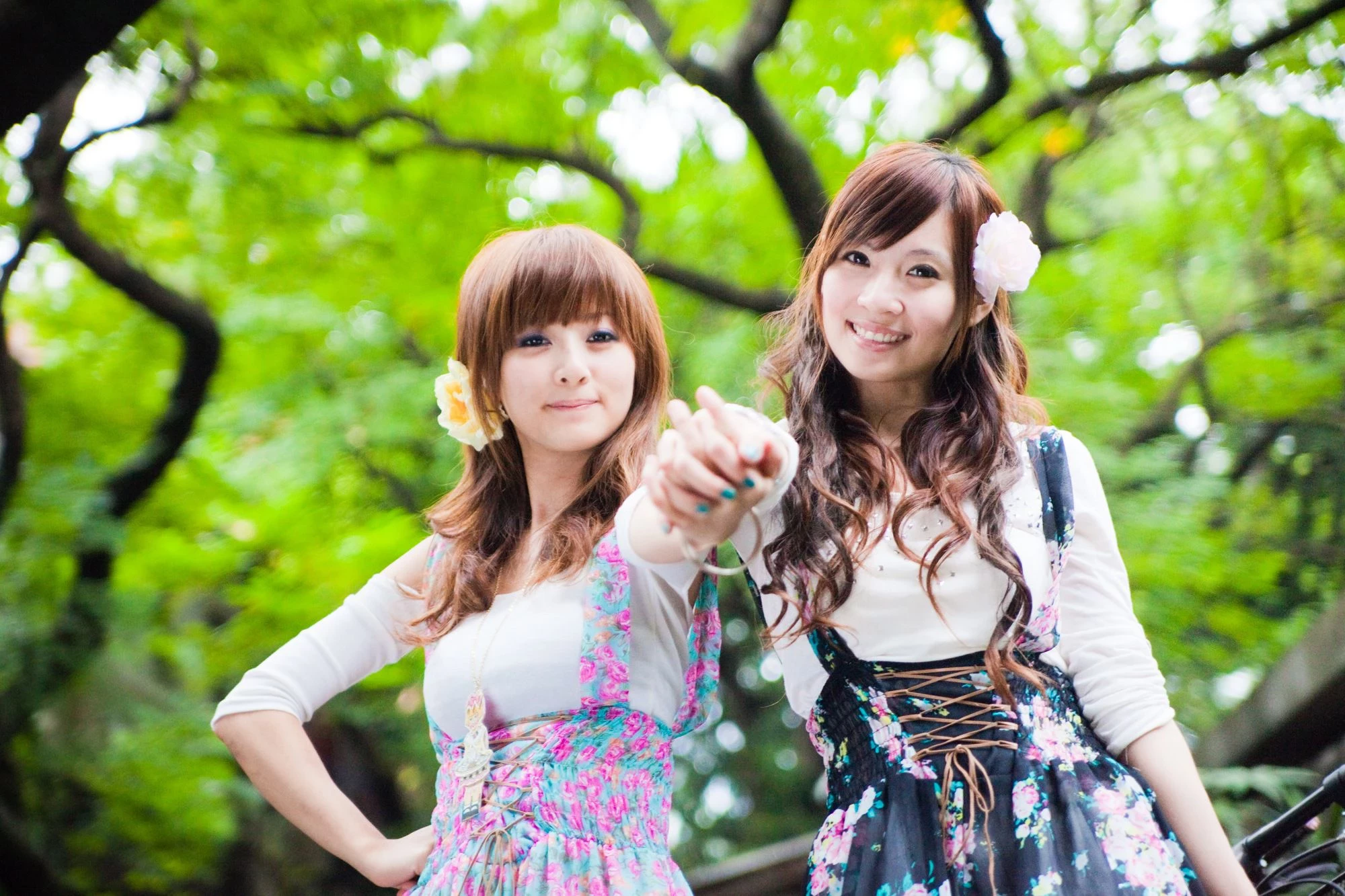 30716150.webp