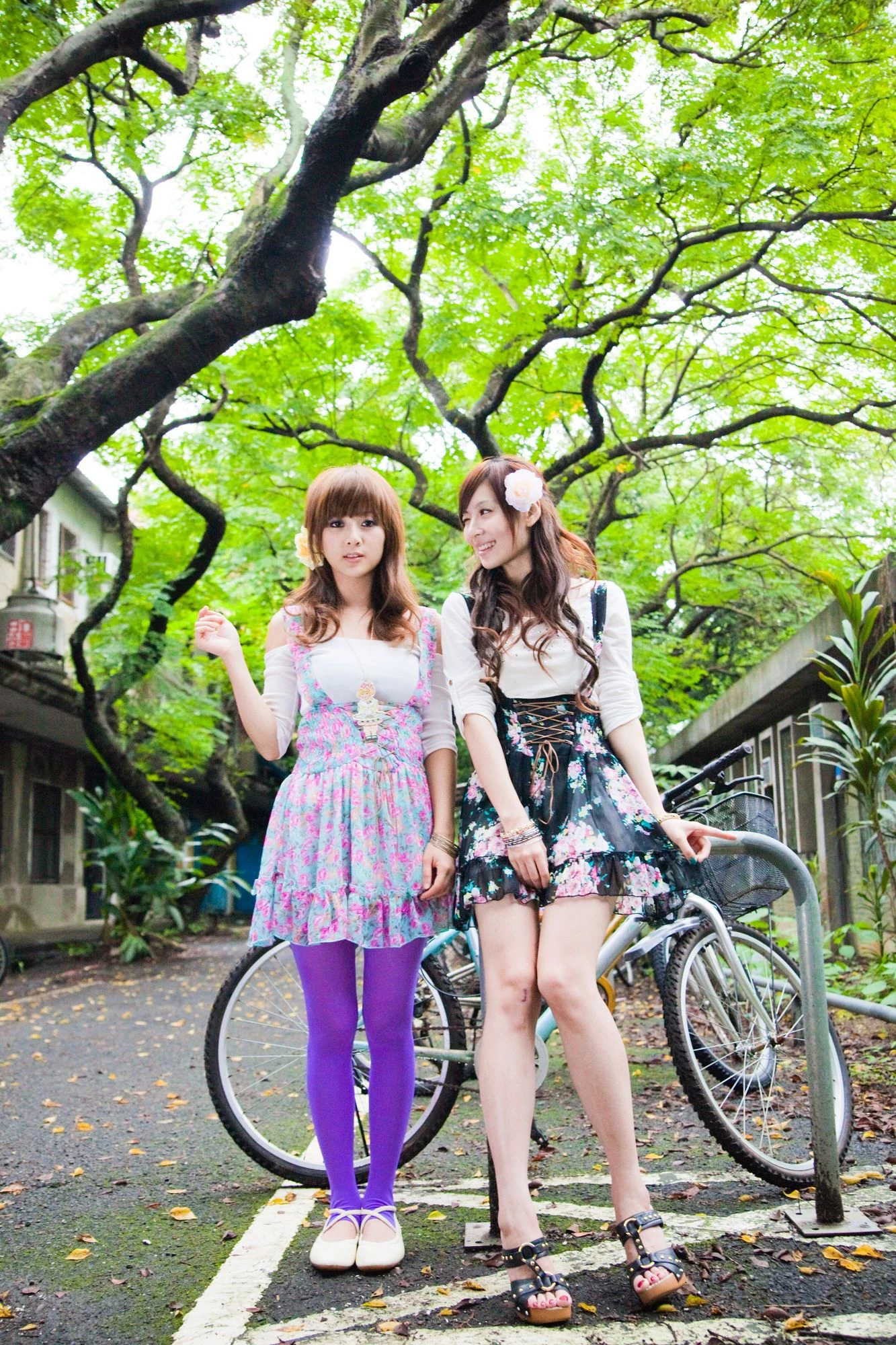 30716151.webp