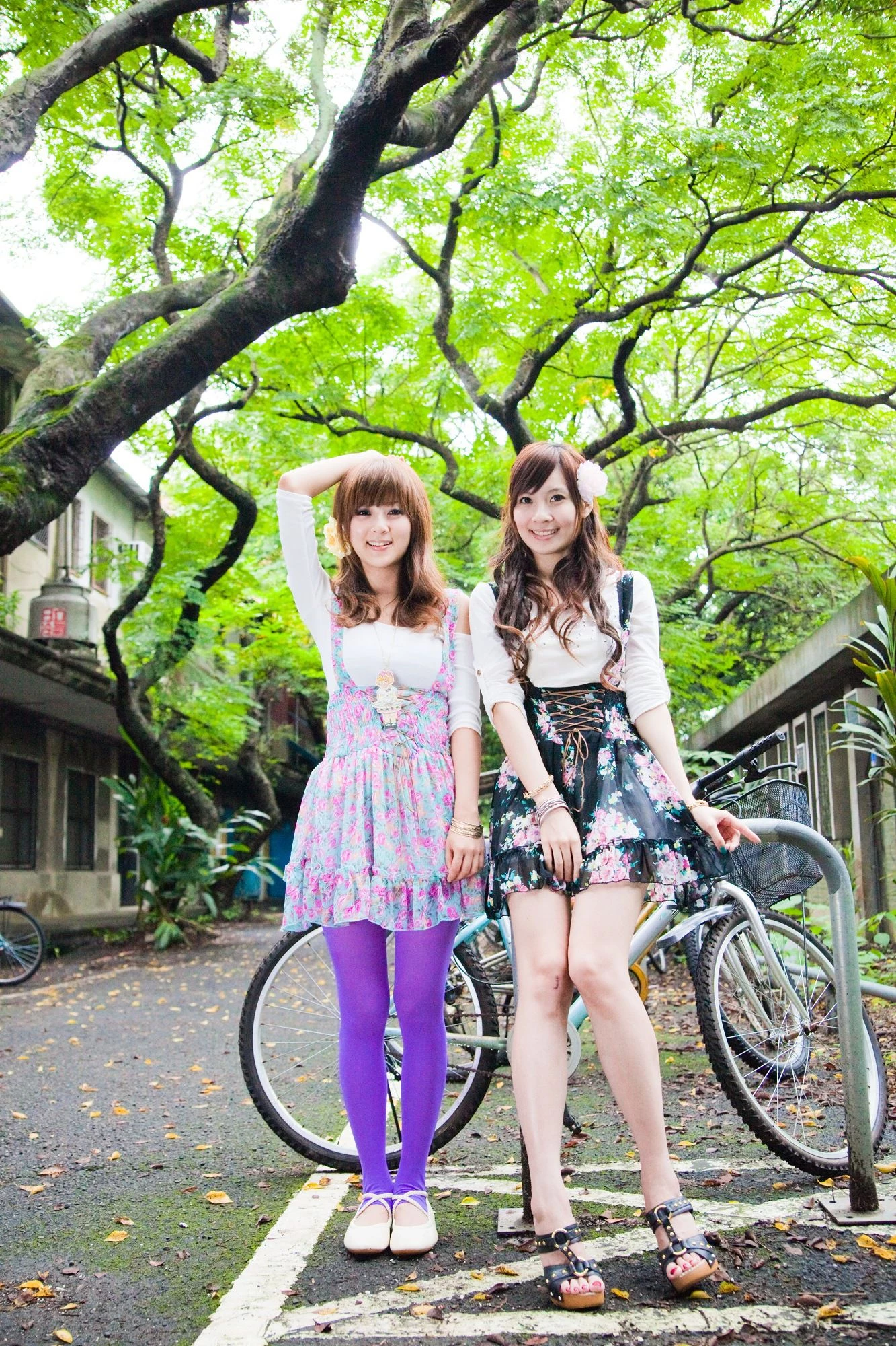 30716152.webp