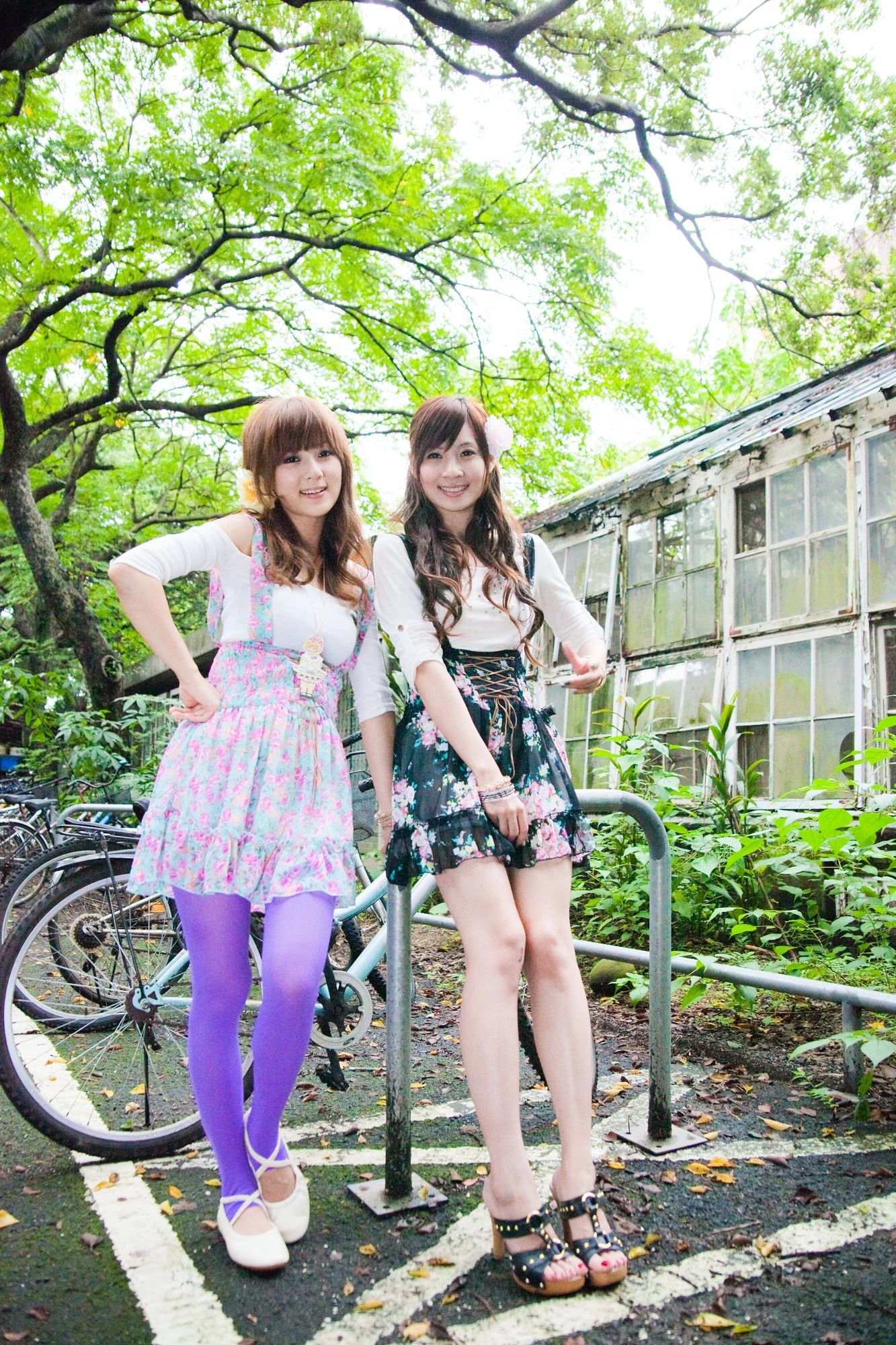 30716153.webp