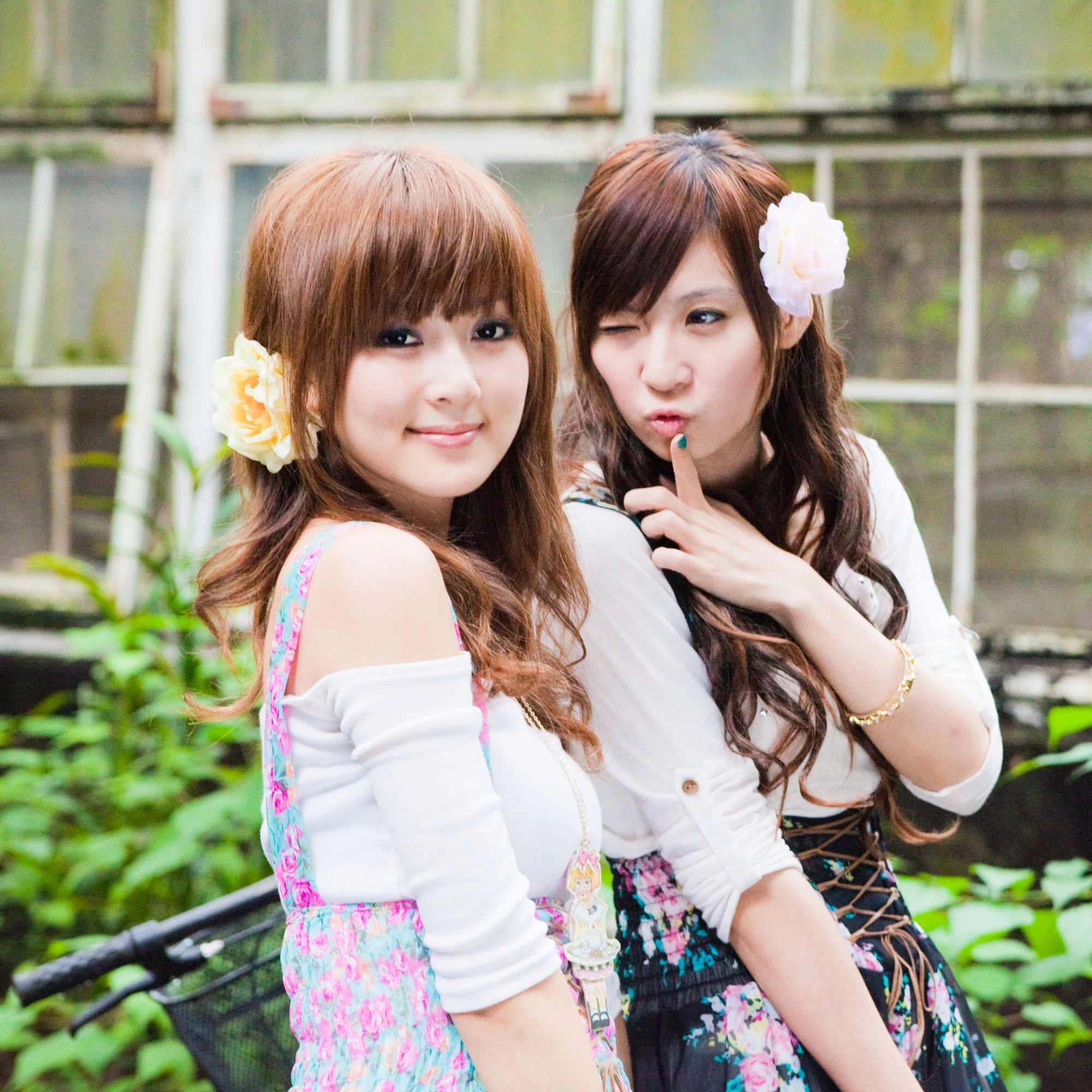 30716154.webp