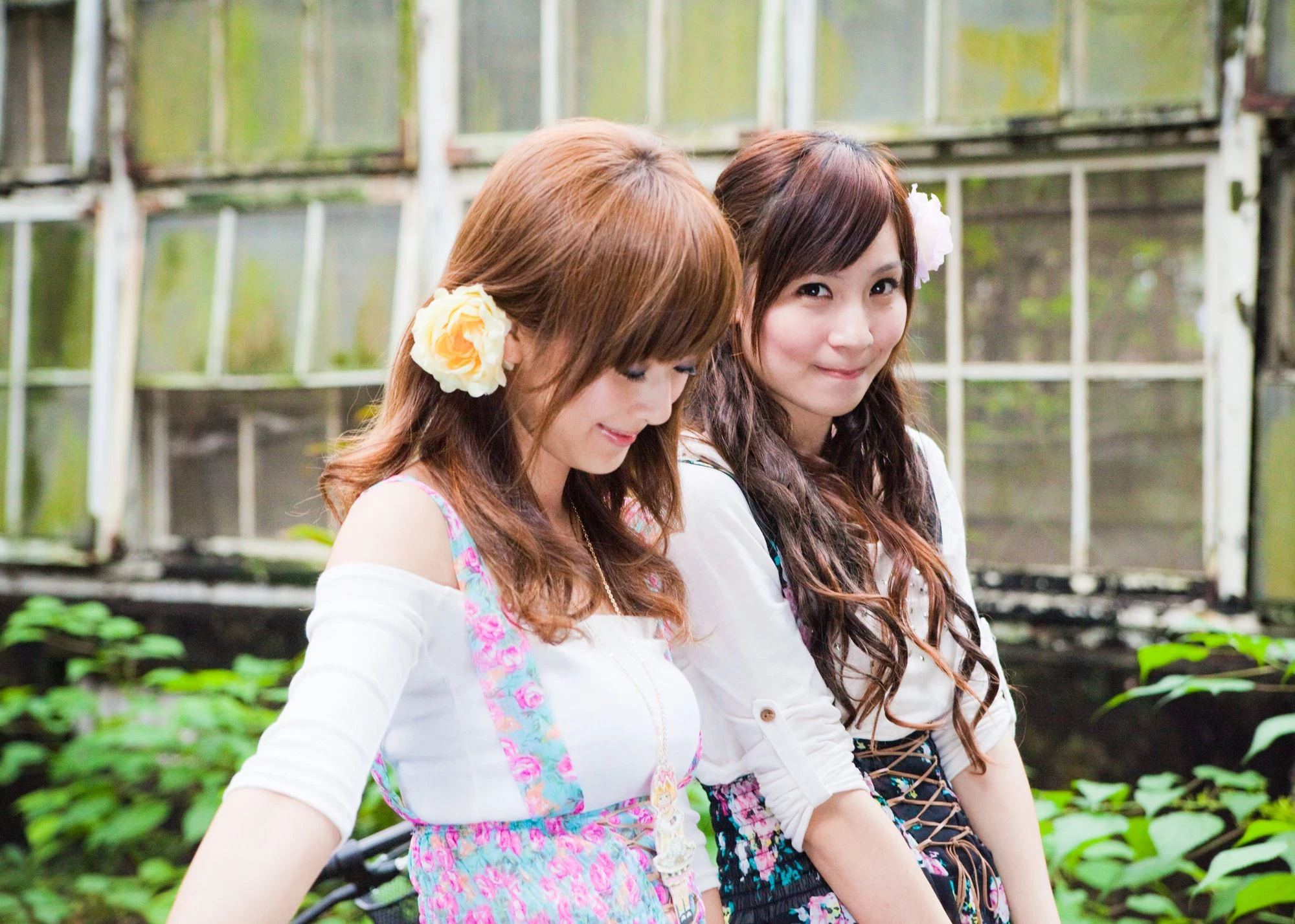 30716155.webp