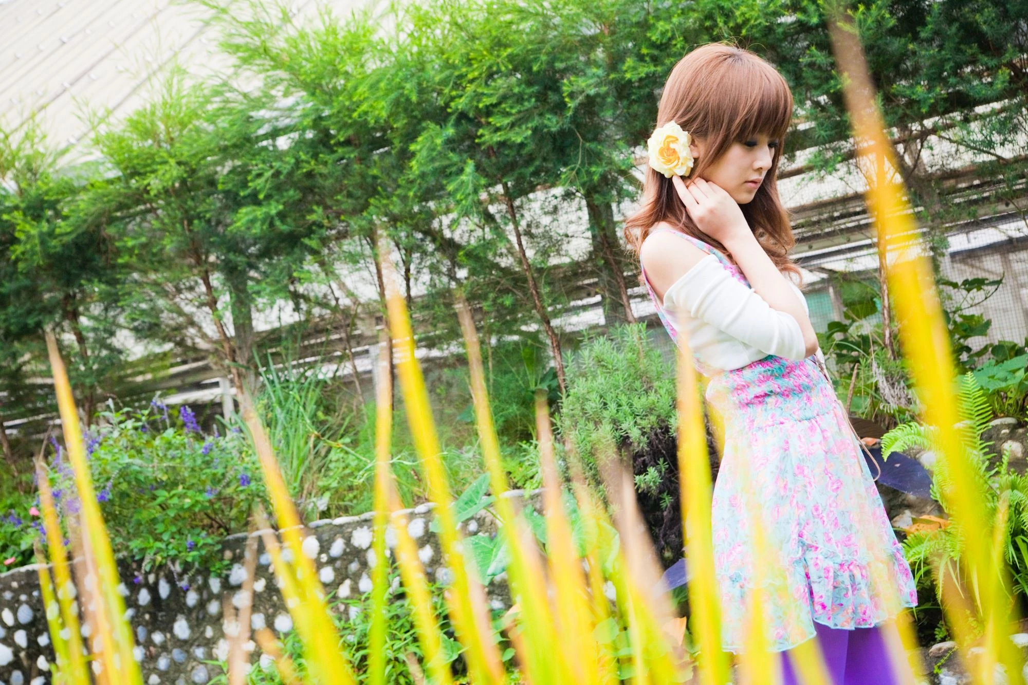 30716158.webp