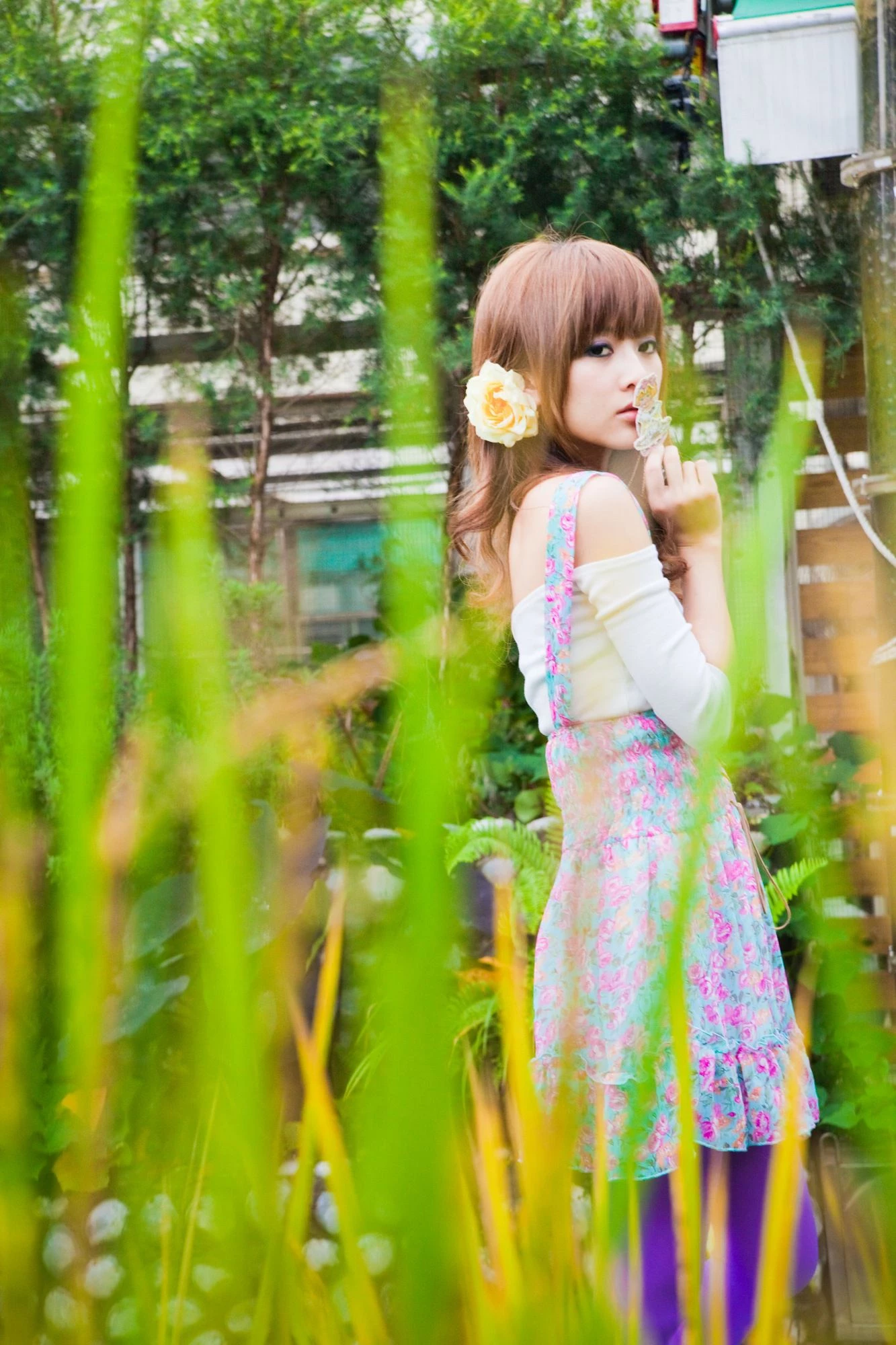 30716159.webp