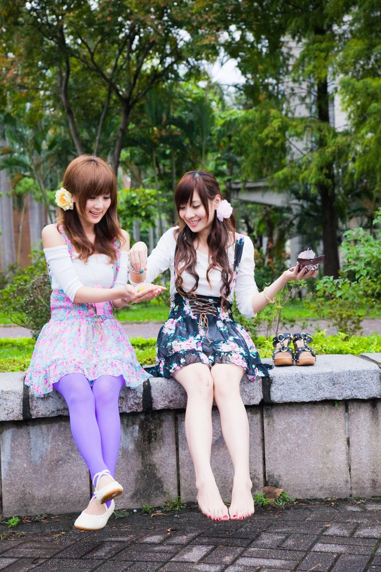 30716173.webp