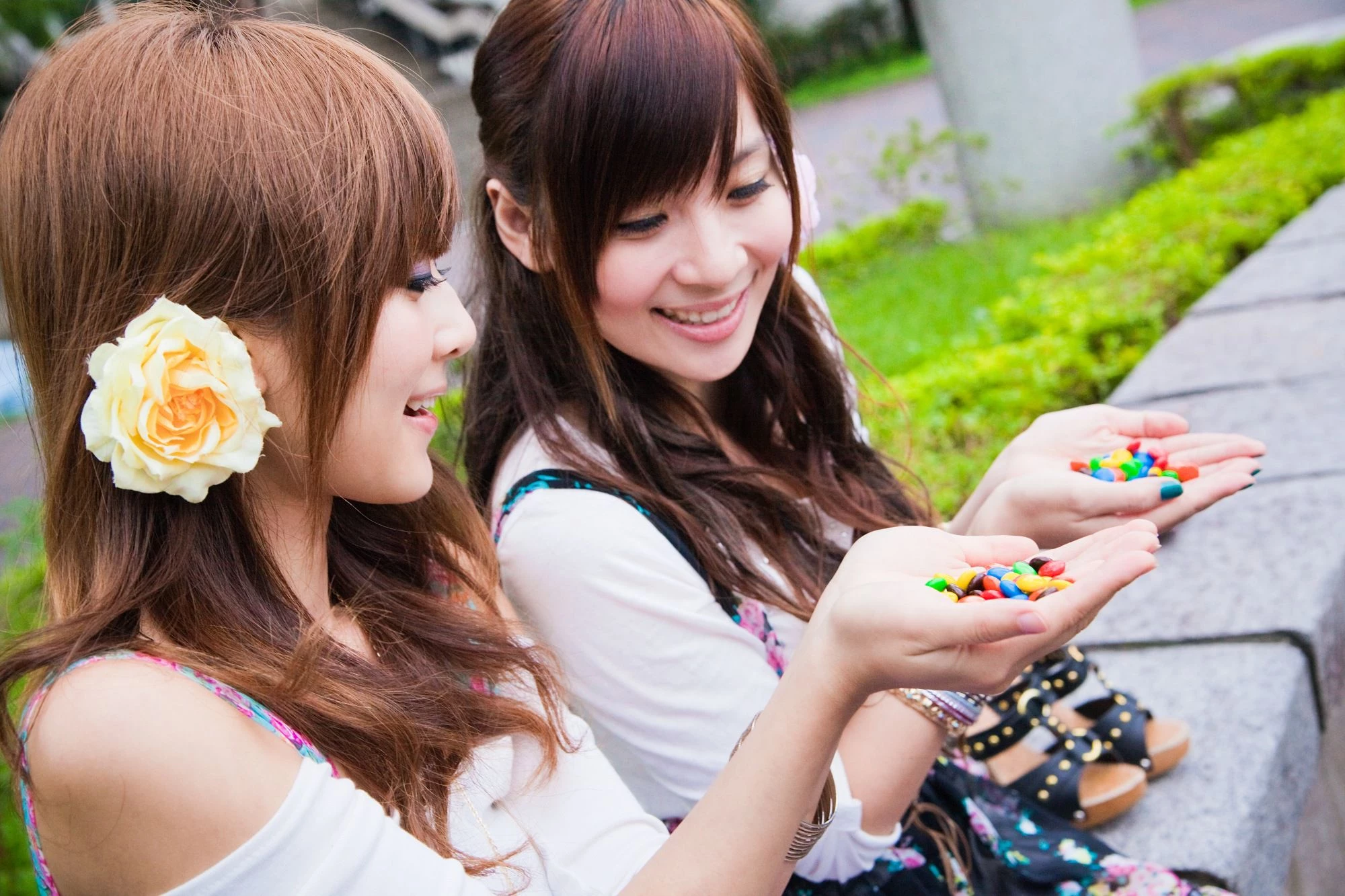 30716175.webp