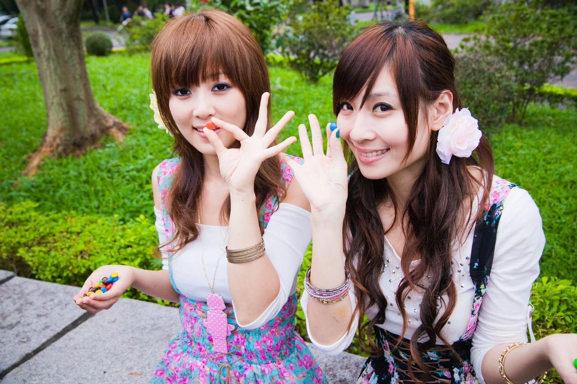 30716178.webp