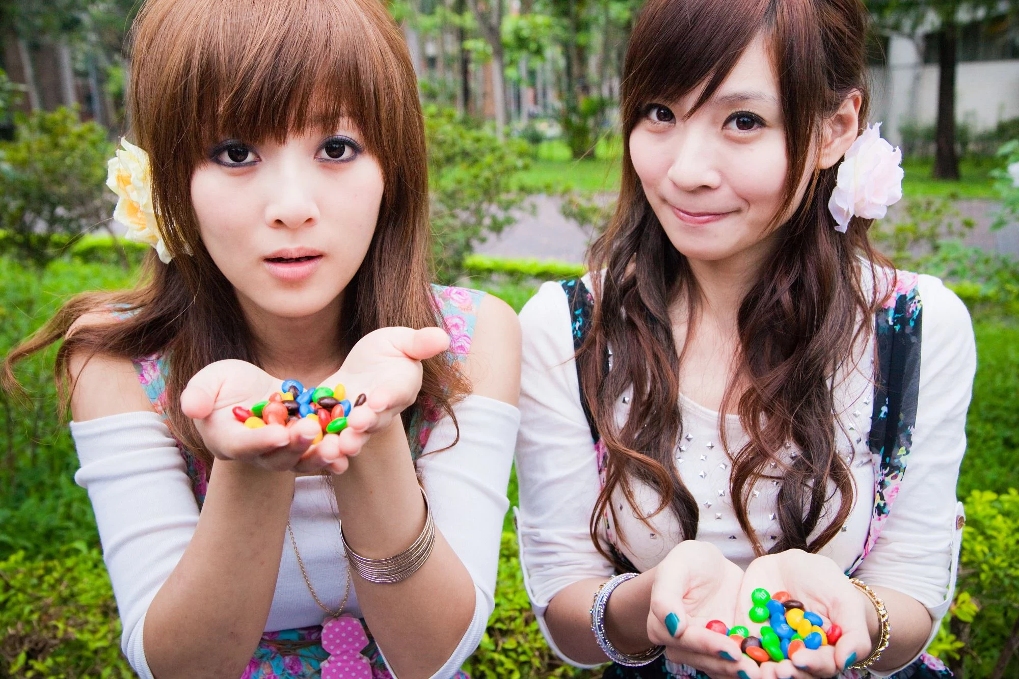 30716179.webp