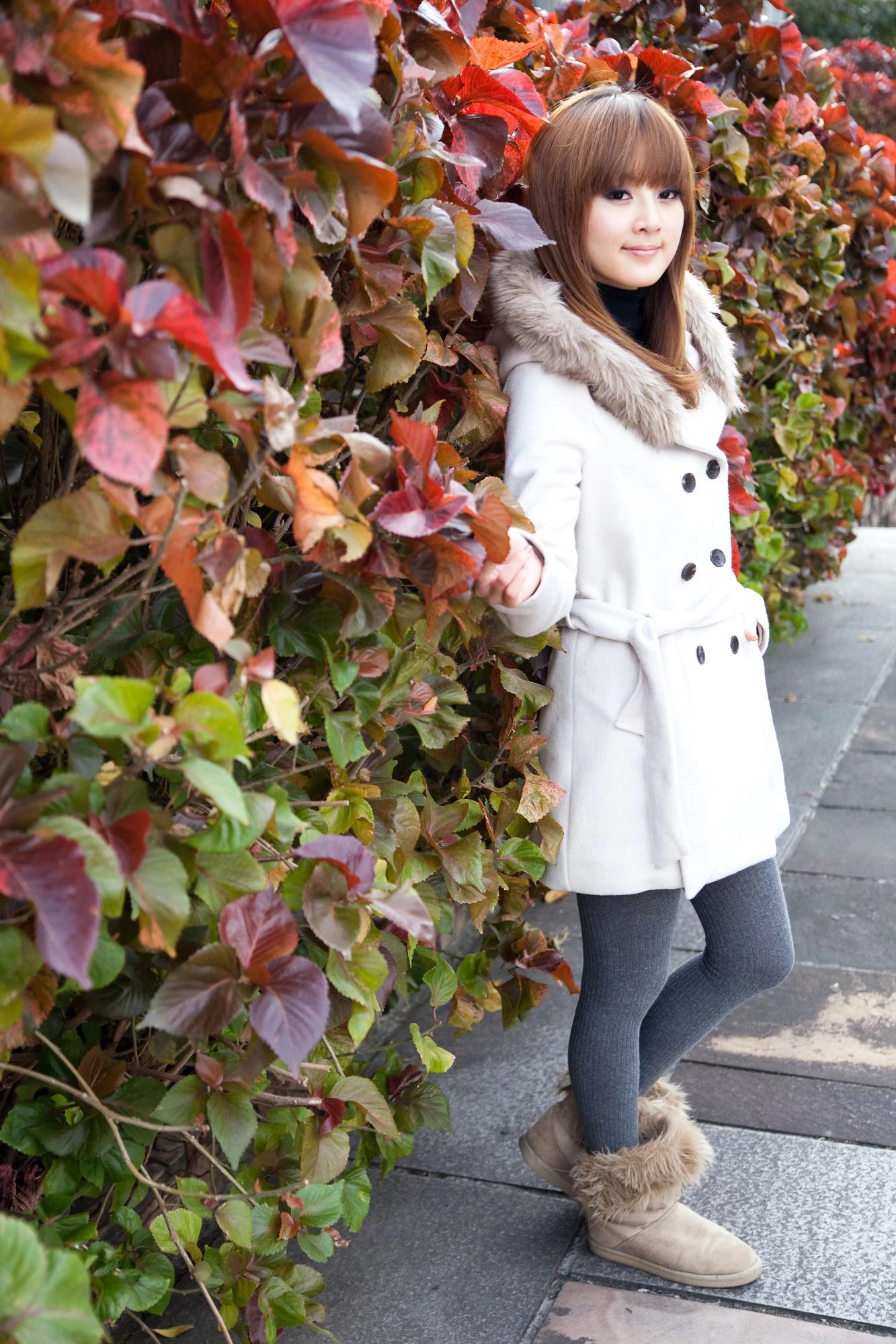 30715824.webp