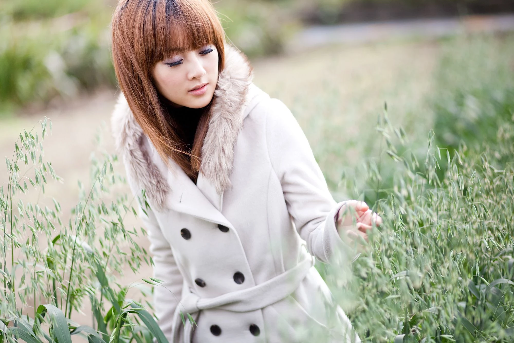 30715831.webp