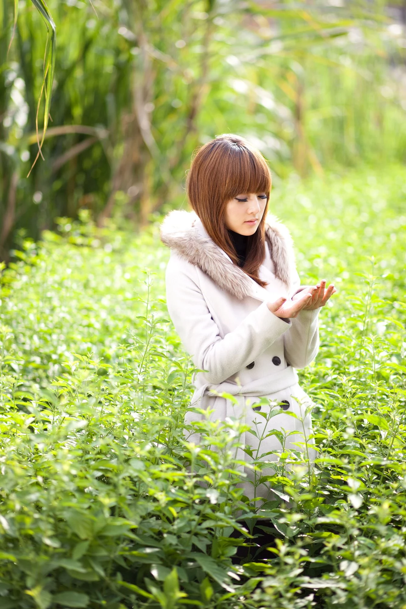 30715833.webp