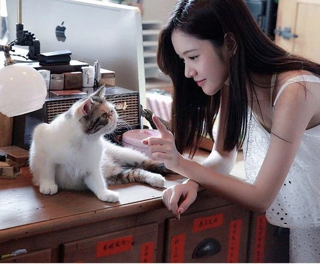 172243cy603wcwgzc8oenw.webp