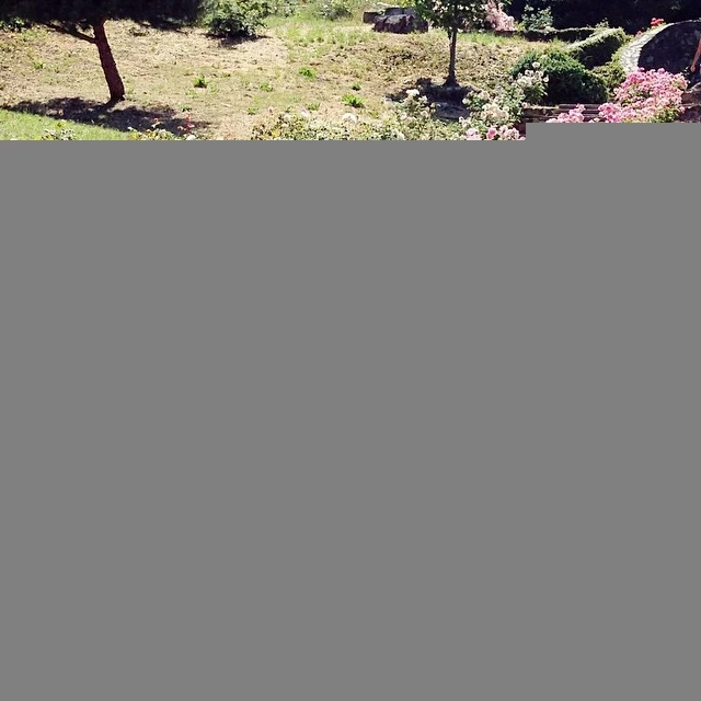 152959zj0iipyk0oyw9oay.webp