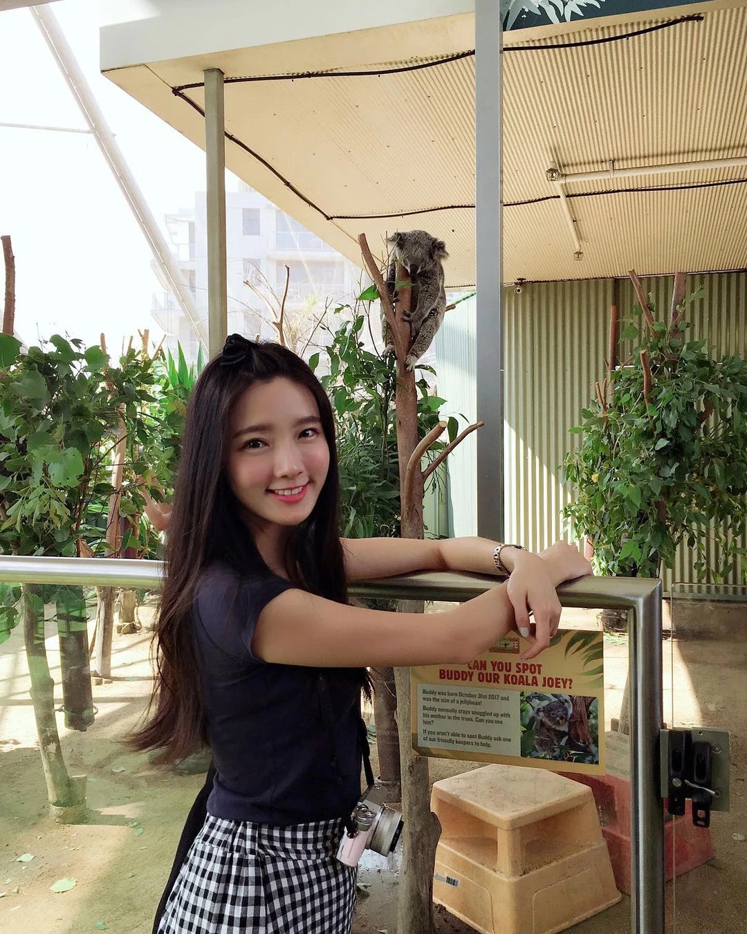 155846pzin4x4pxhgh1hi4.webp
