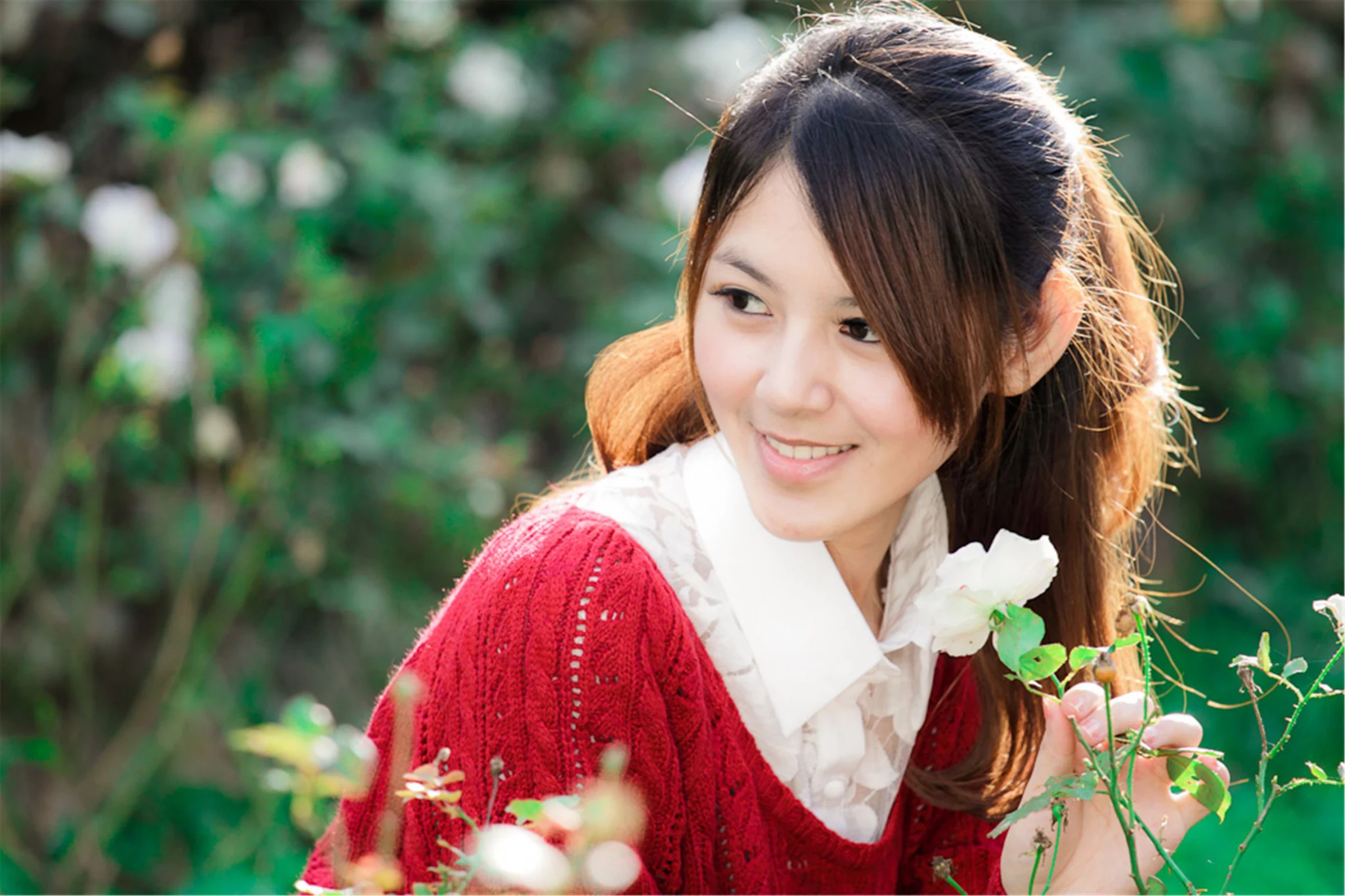 30742861.webp