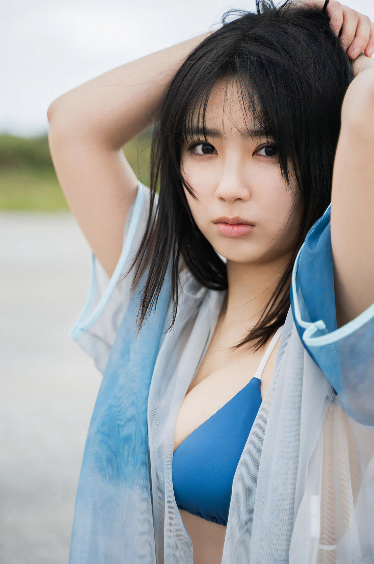 31281817.webp