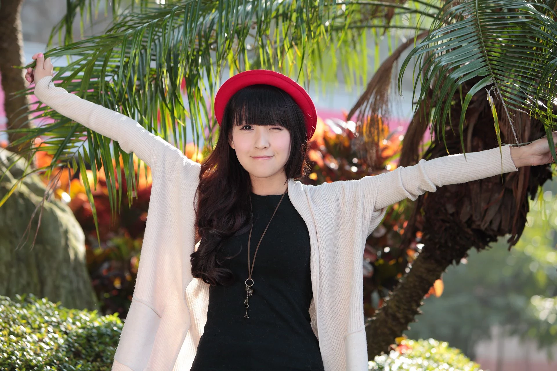 30714133.webp