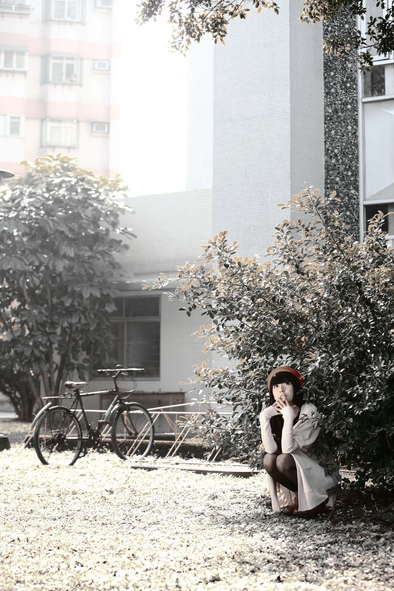 30714136.webp
