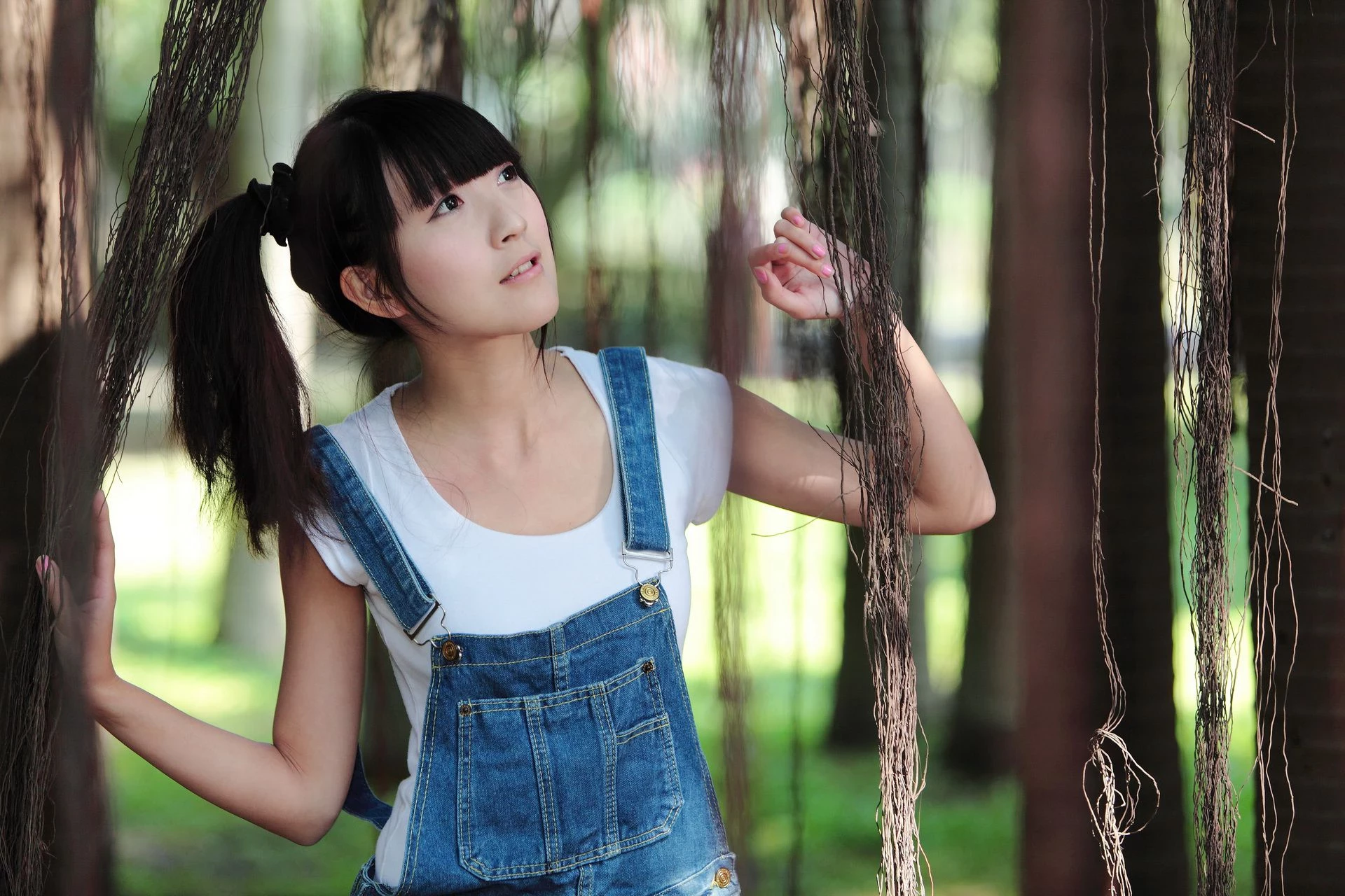 30714151.webp