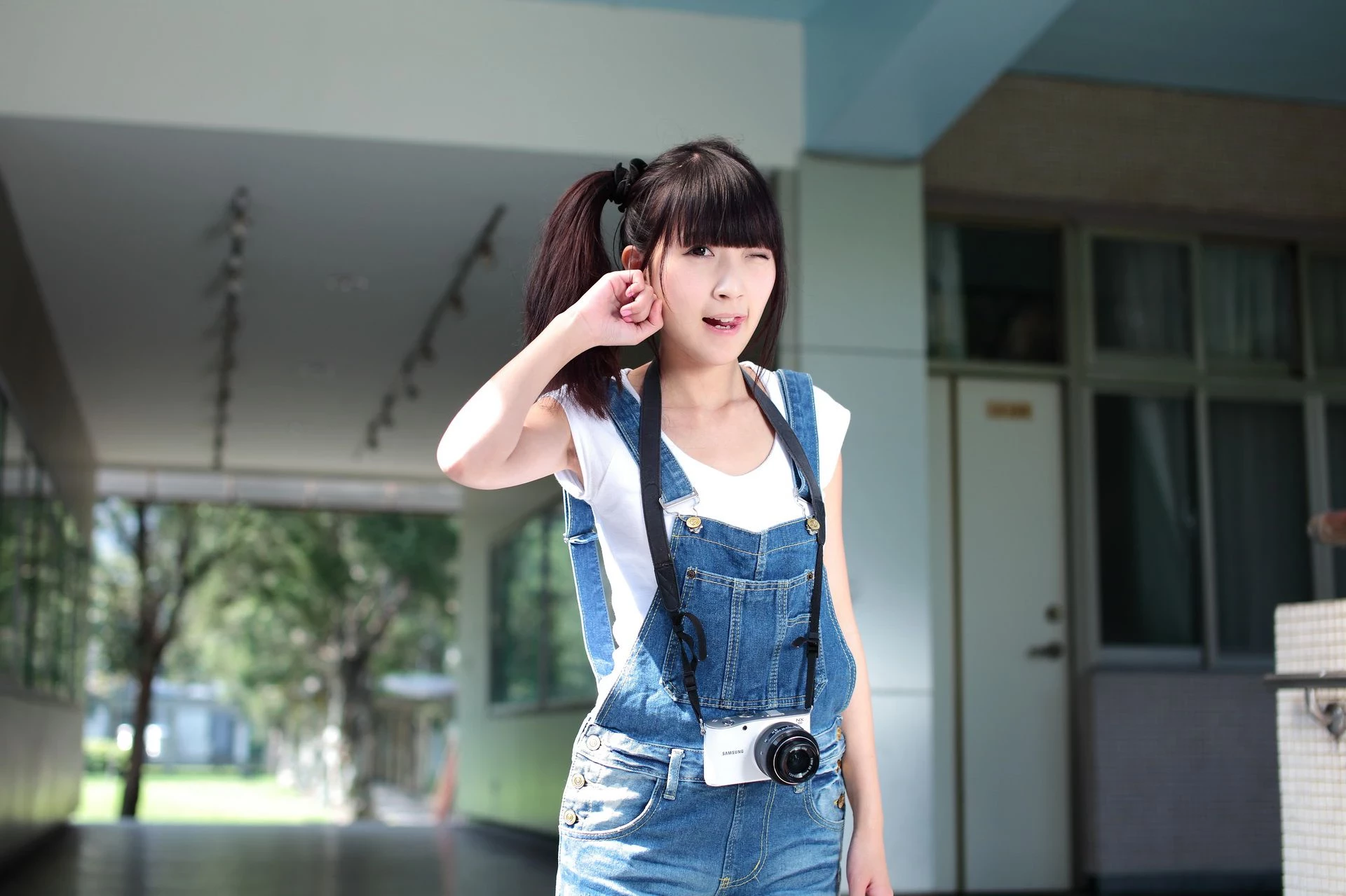 30714159.webp