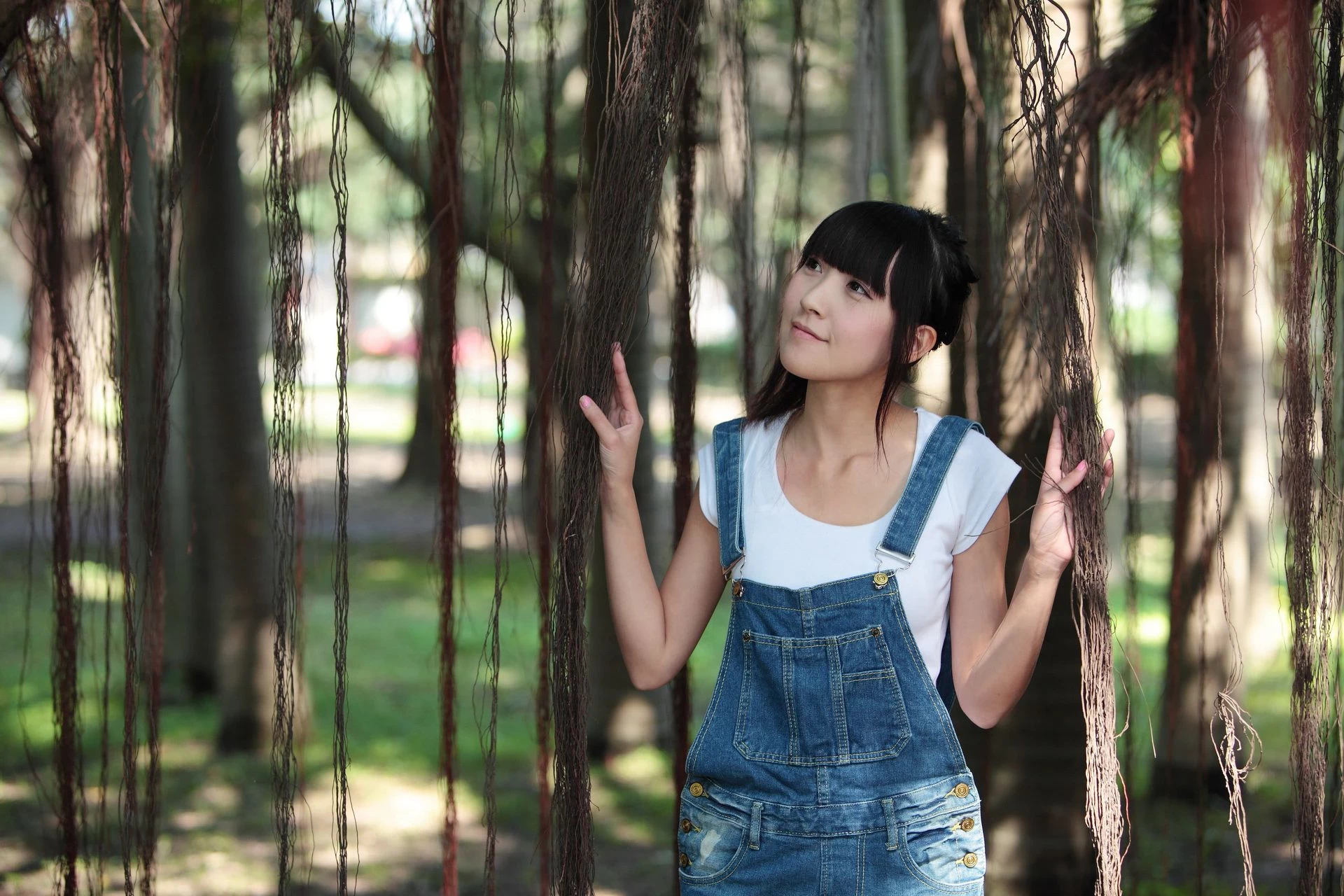 30714191.webp