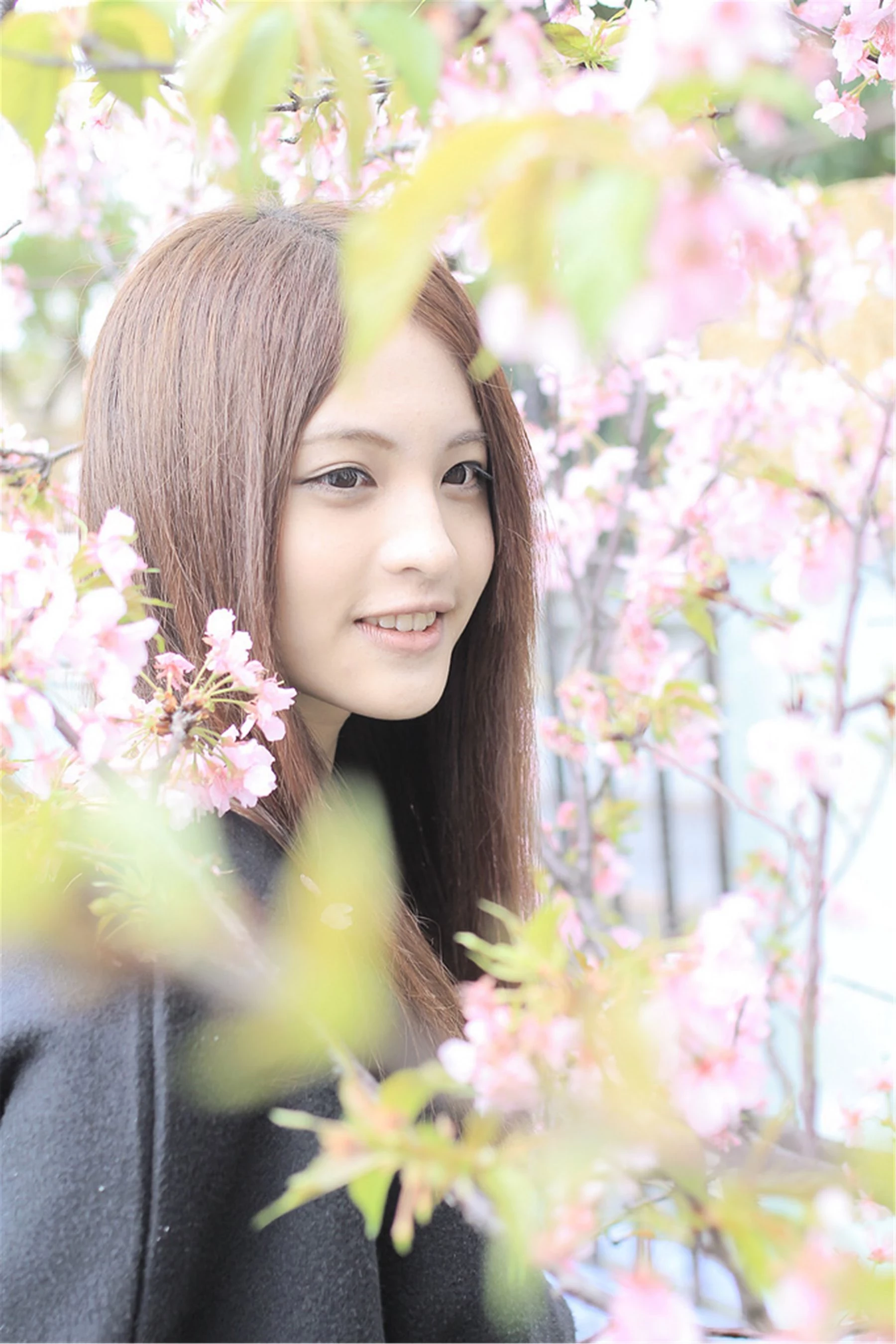 30743480.webp