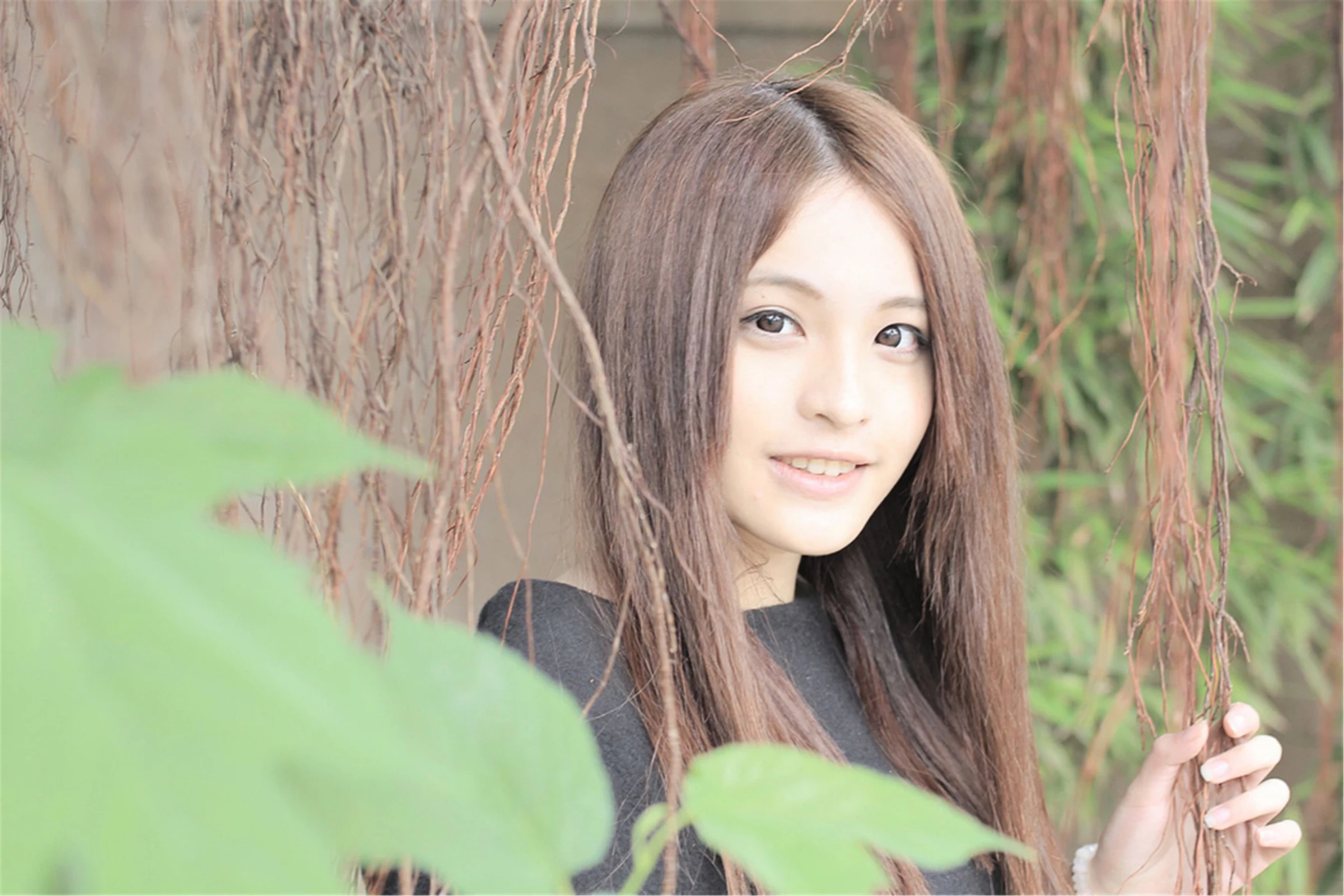 30743513.webp