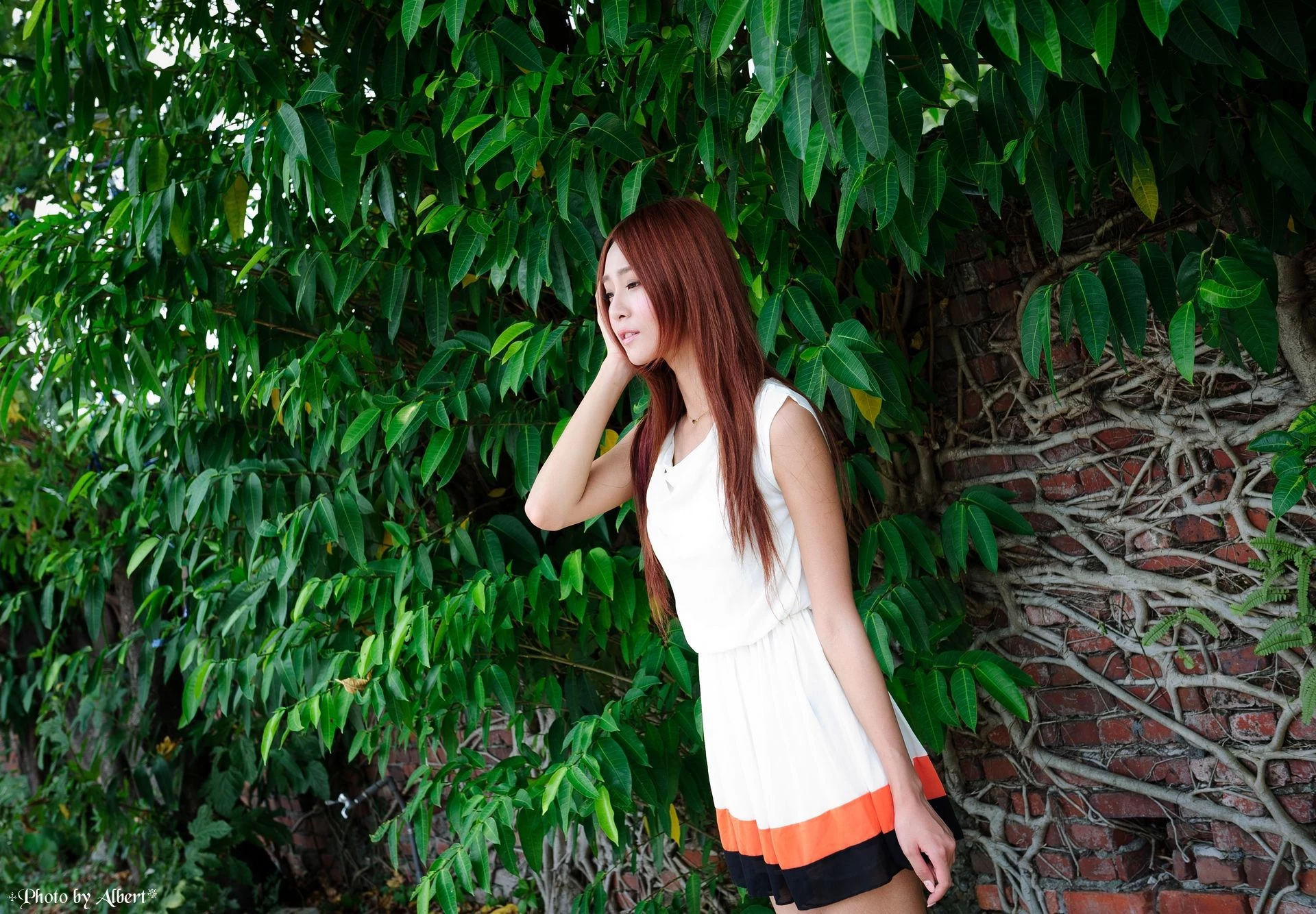 30728435.webp