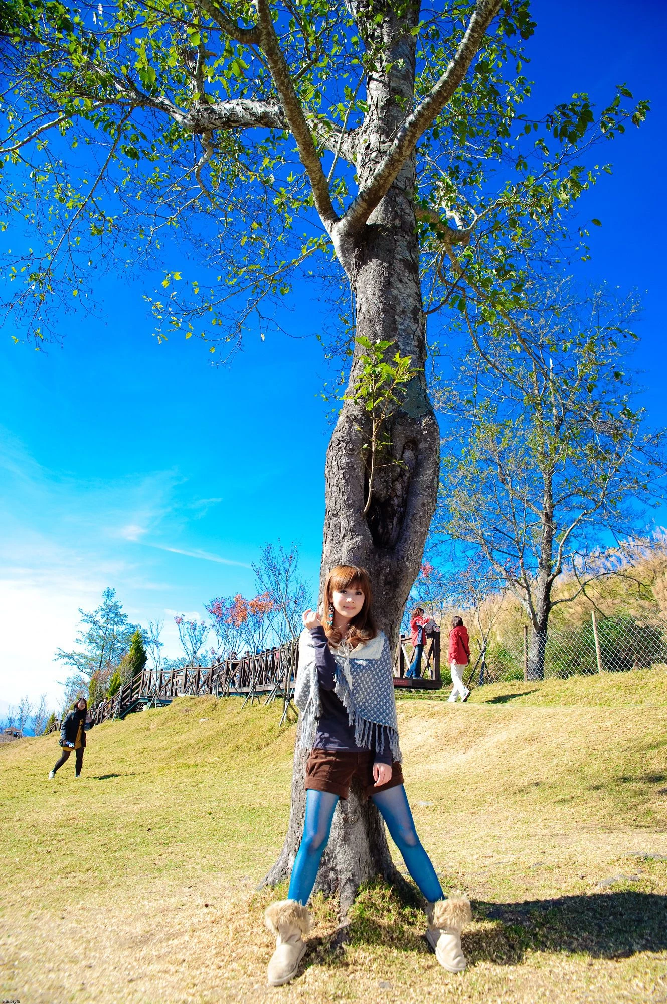 30715332.webp