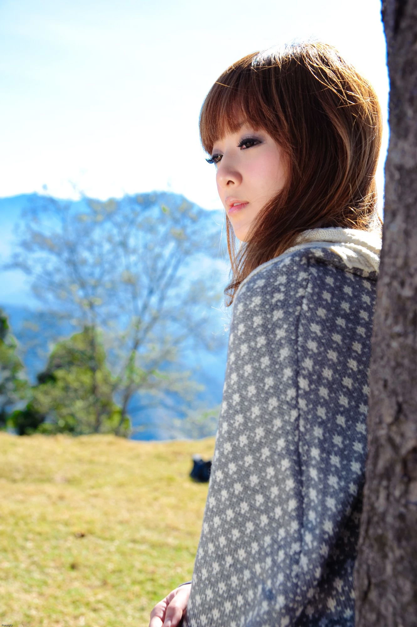 30715335.webp