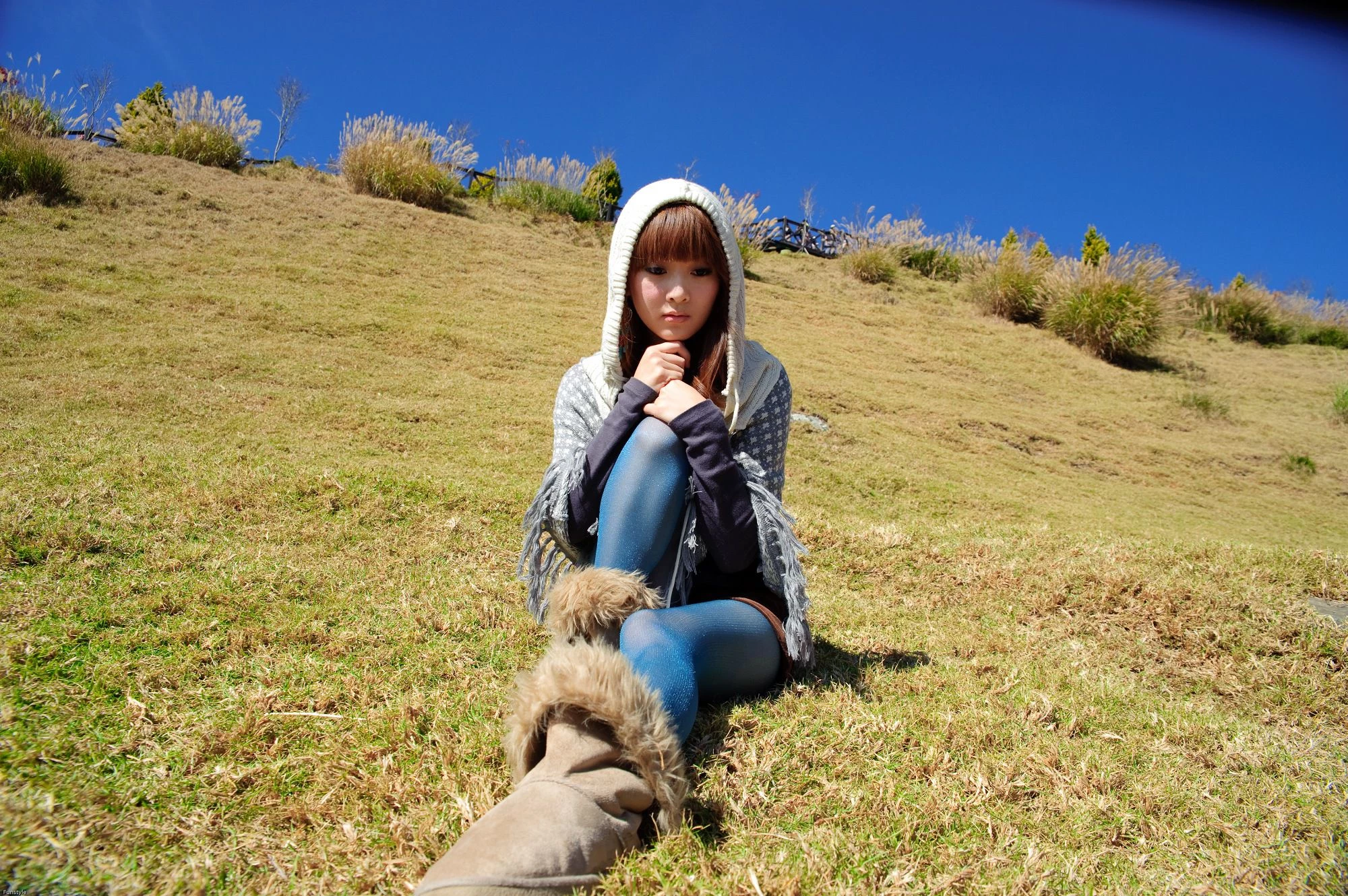 30715348.webp