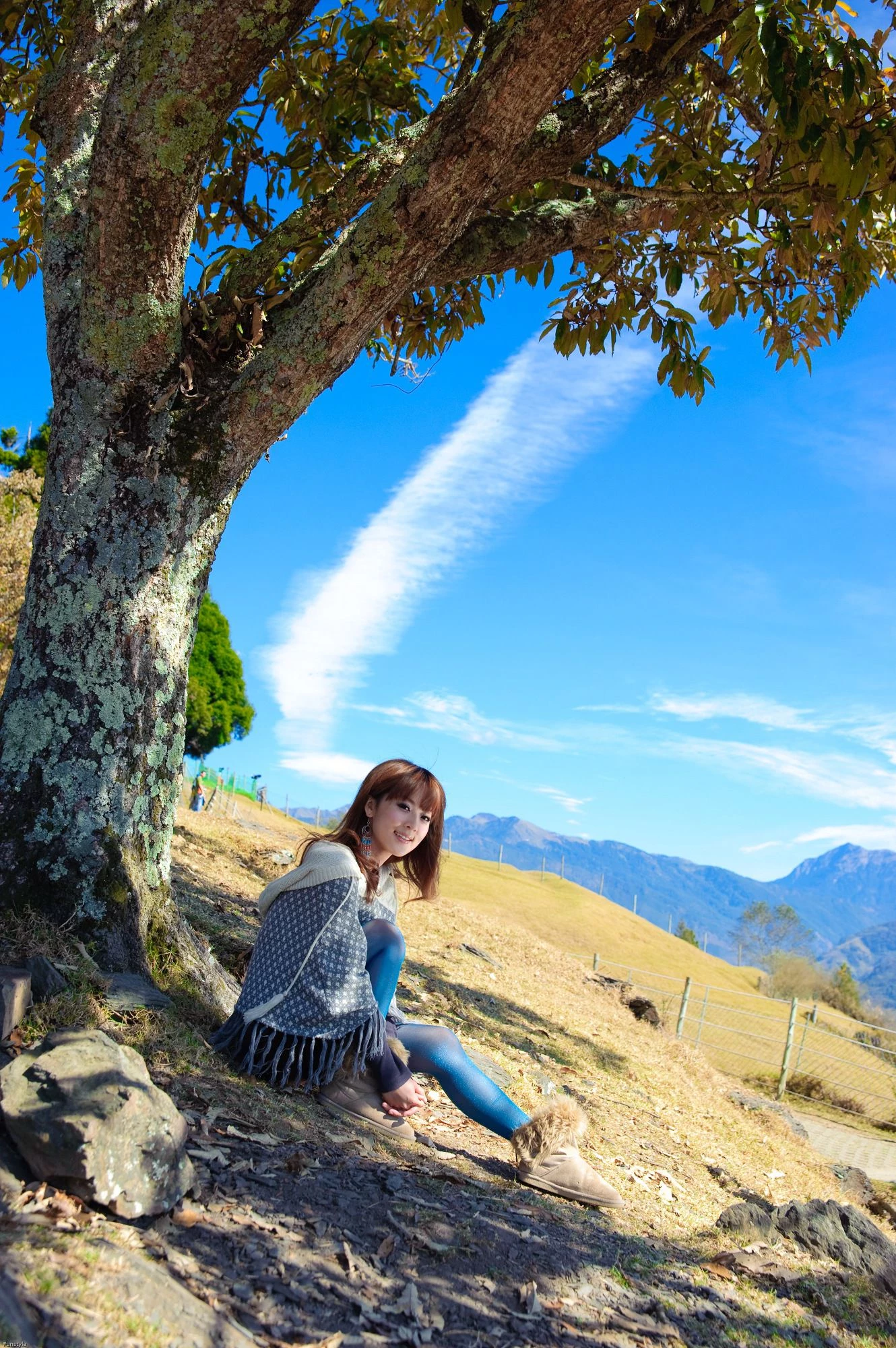 30715359.webp