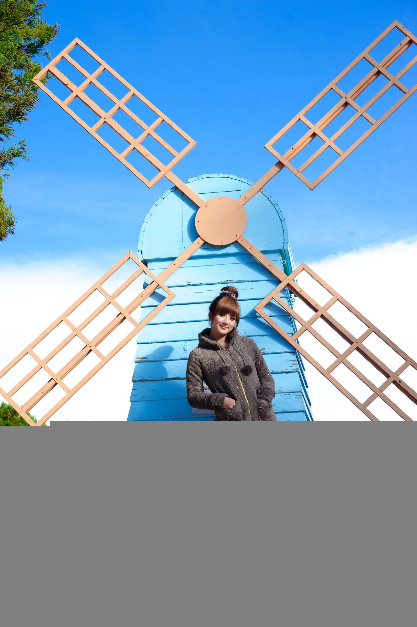 30715394.webp
