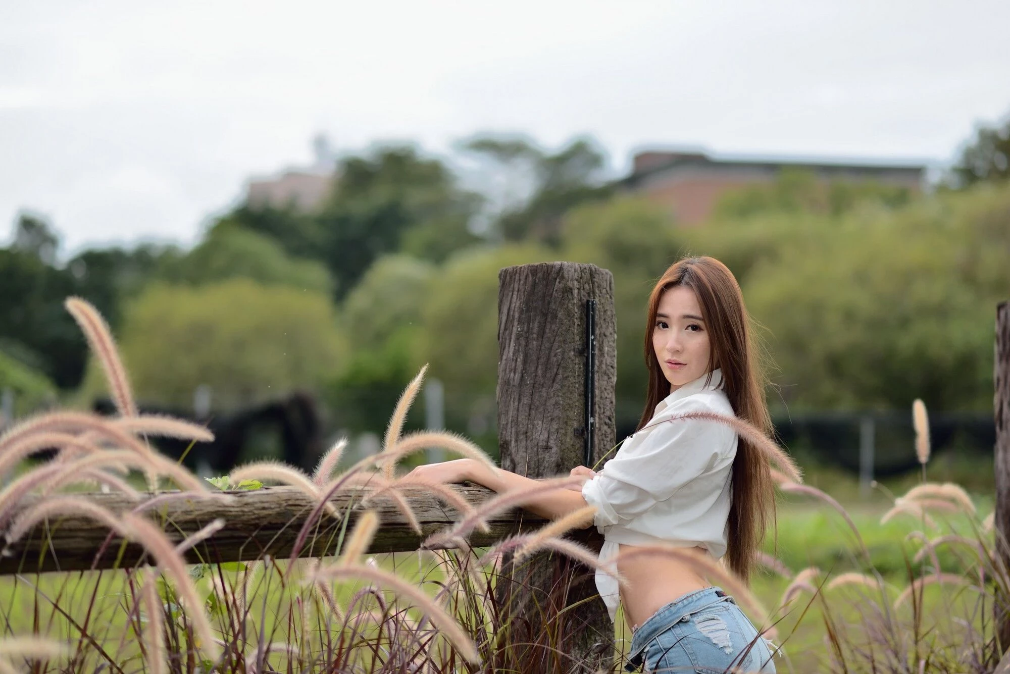 221035j4a04wiw4ljdw41h.webp