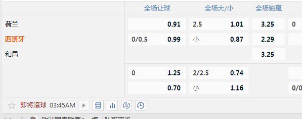 荷兰.jpg