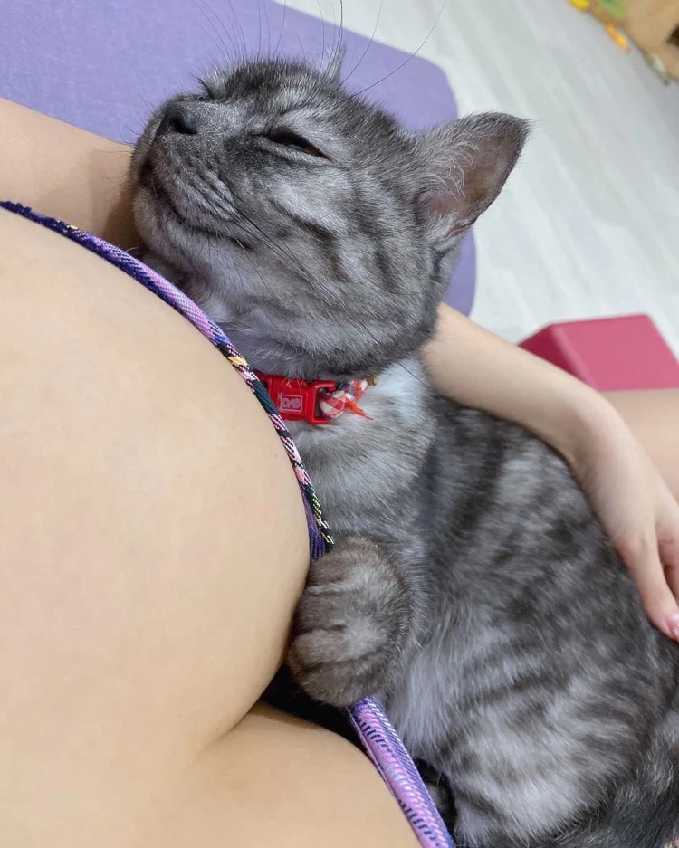 105443d0x3yi0qkckkeccw.webp