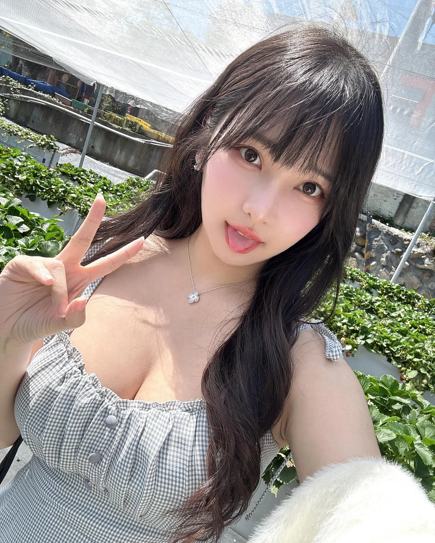 153933mtawwi4ezfz223cz.webp
