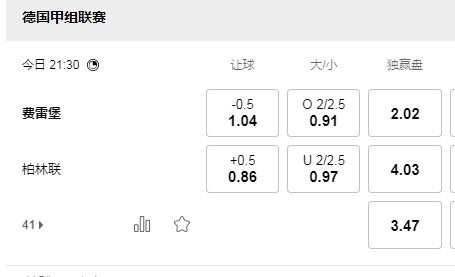 费雷堡.jpg