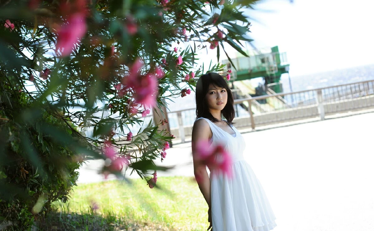 17268590.webp