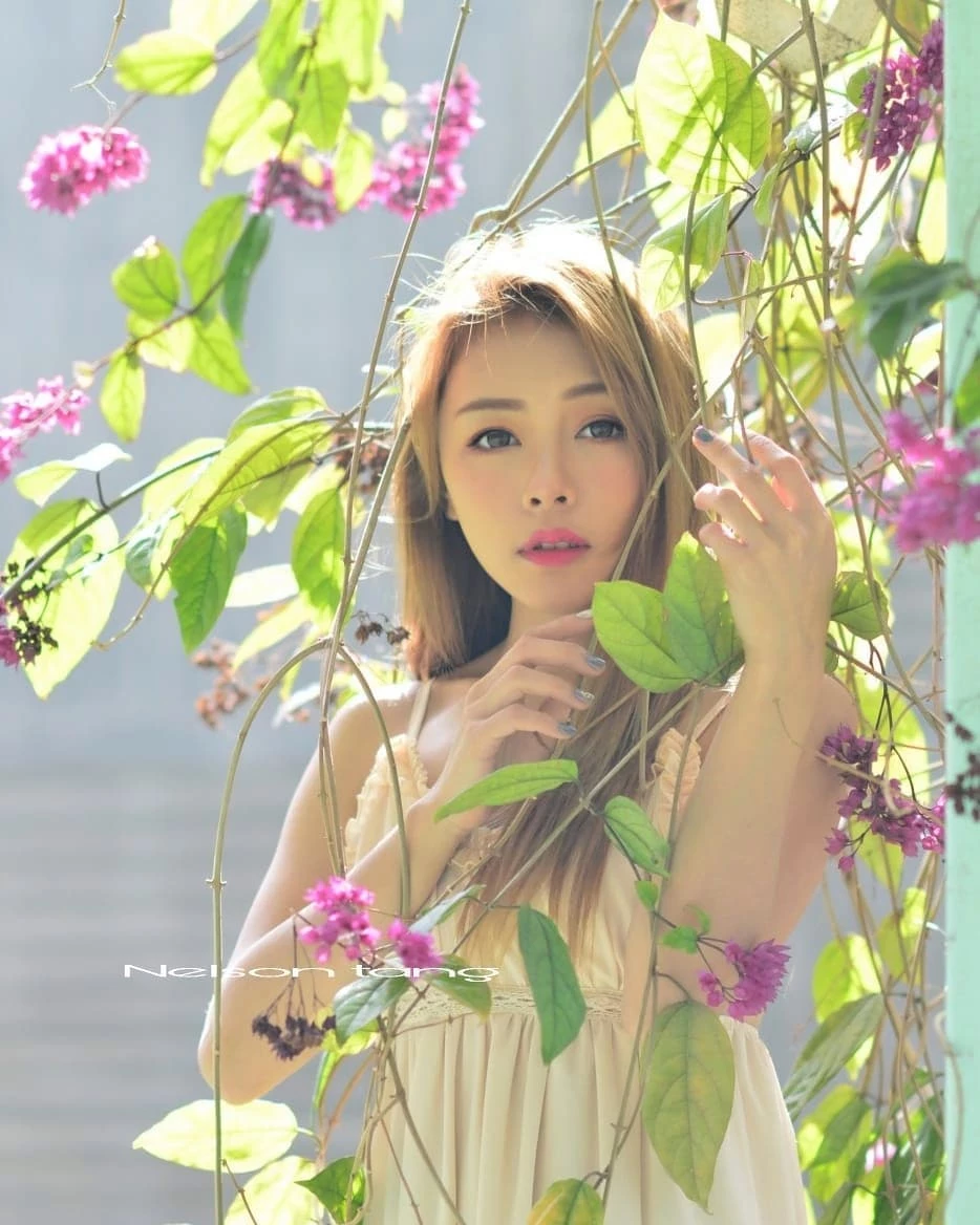 4496151.webp