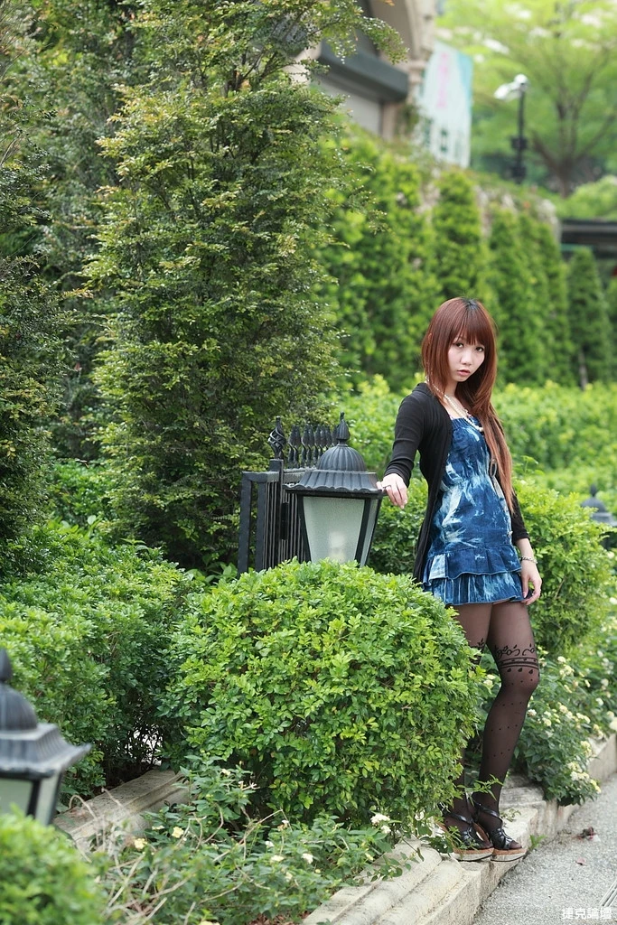 17509053.webp
