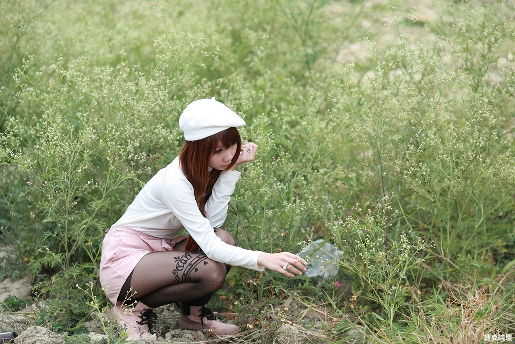 17509067.webp