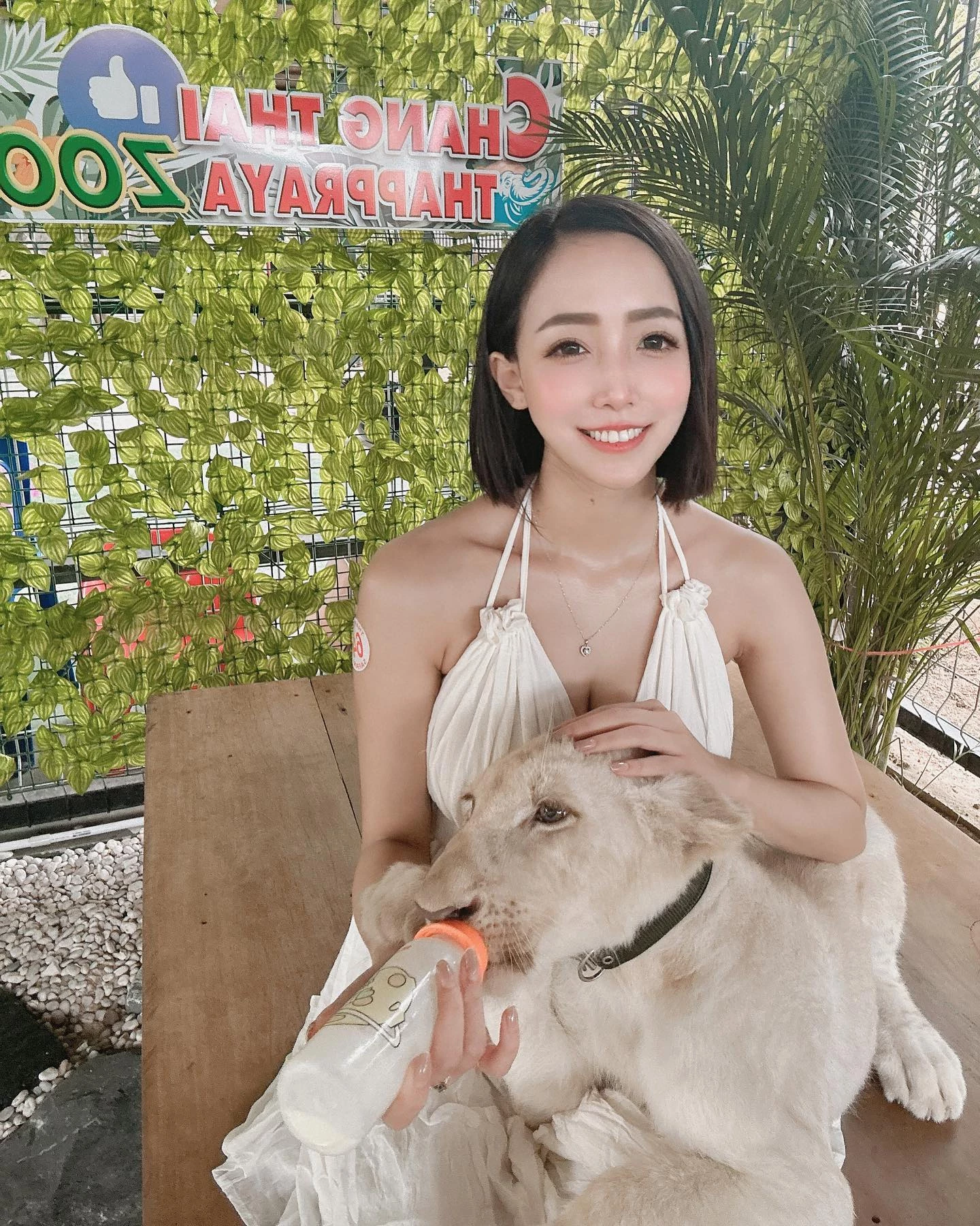 105349x63z3oto8jttxkbk.webp