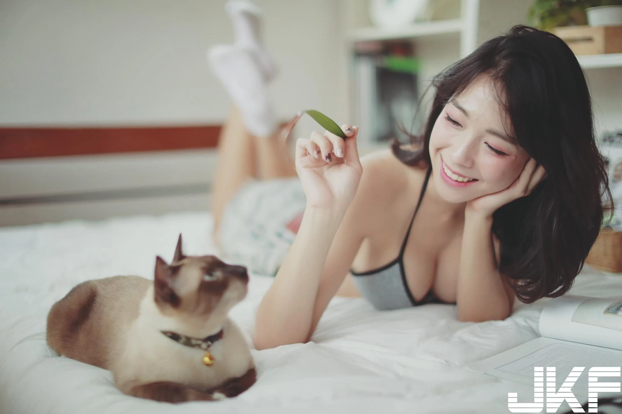 164950cjfefllltlgwglig.webp