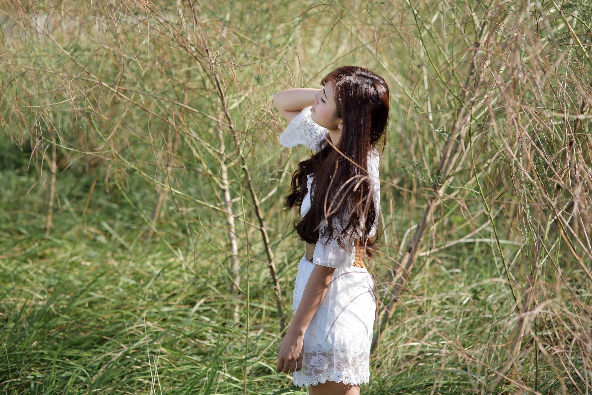 4481680.webp