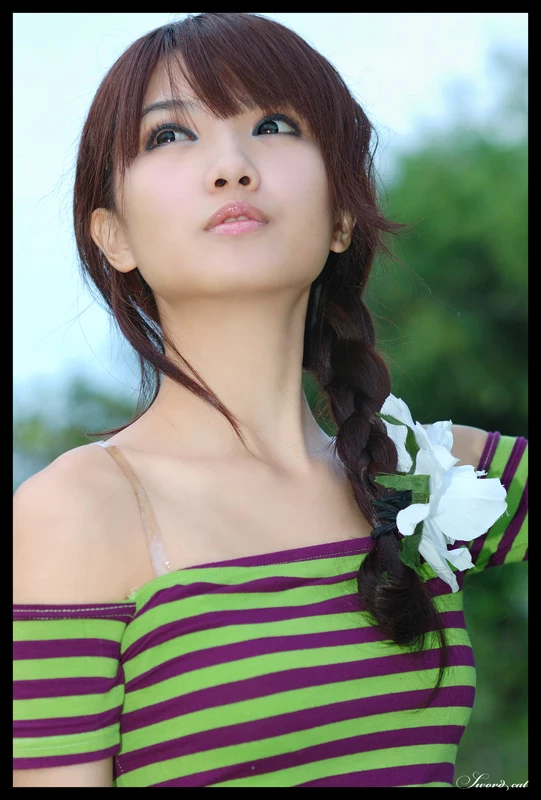 17824659.webp