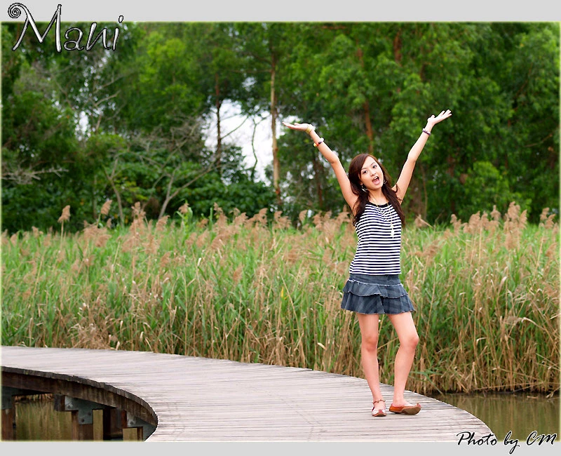 17650065.webp