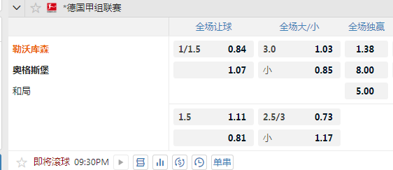 勒沃库森.jpg