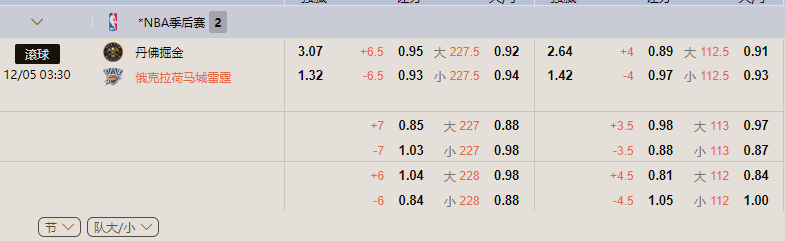 丹佛掘金.png