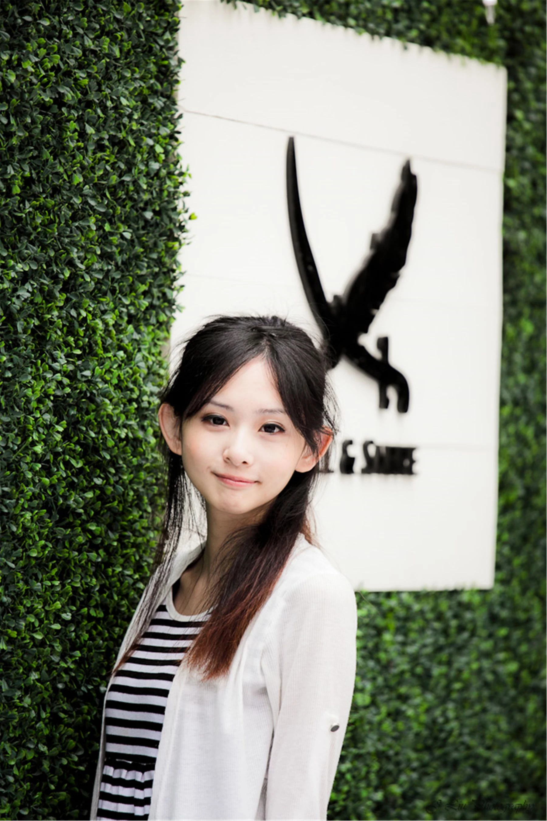 30743293.webp